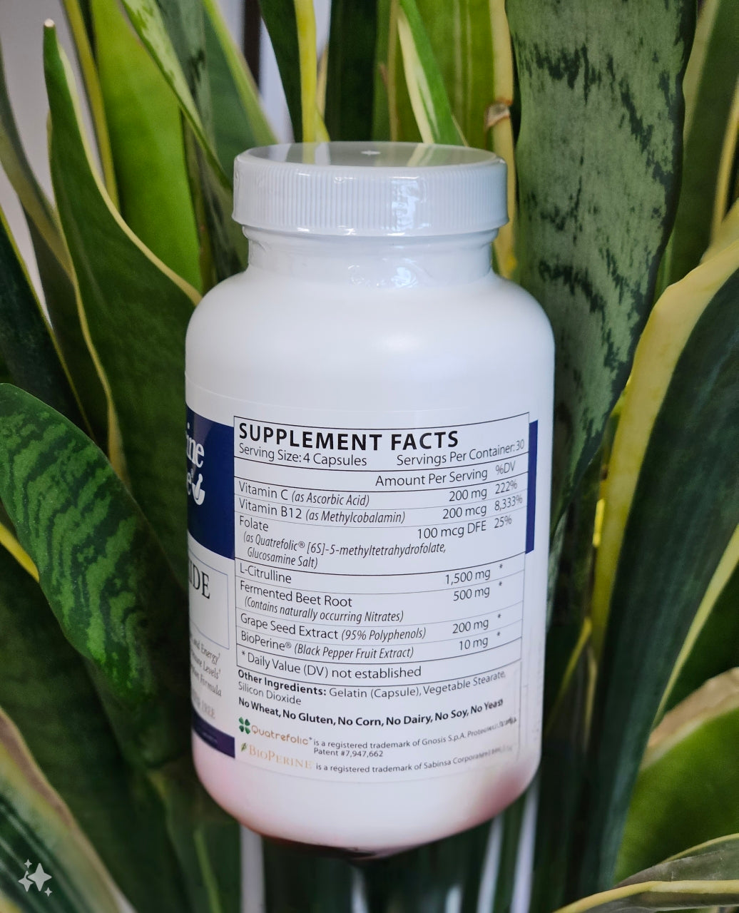 Nitric Oxide Elite 120 caps - Medicine Shoppe